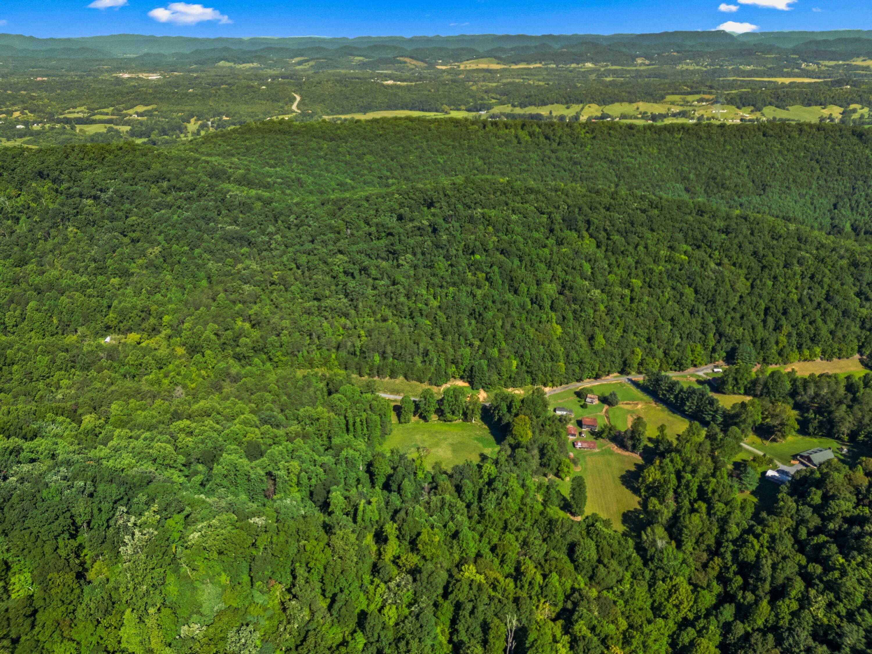 Image 3: 067-196HeckHollowRoad-Rogersville-TN-378