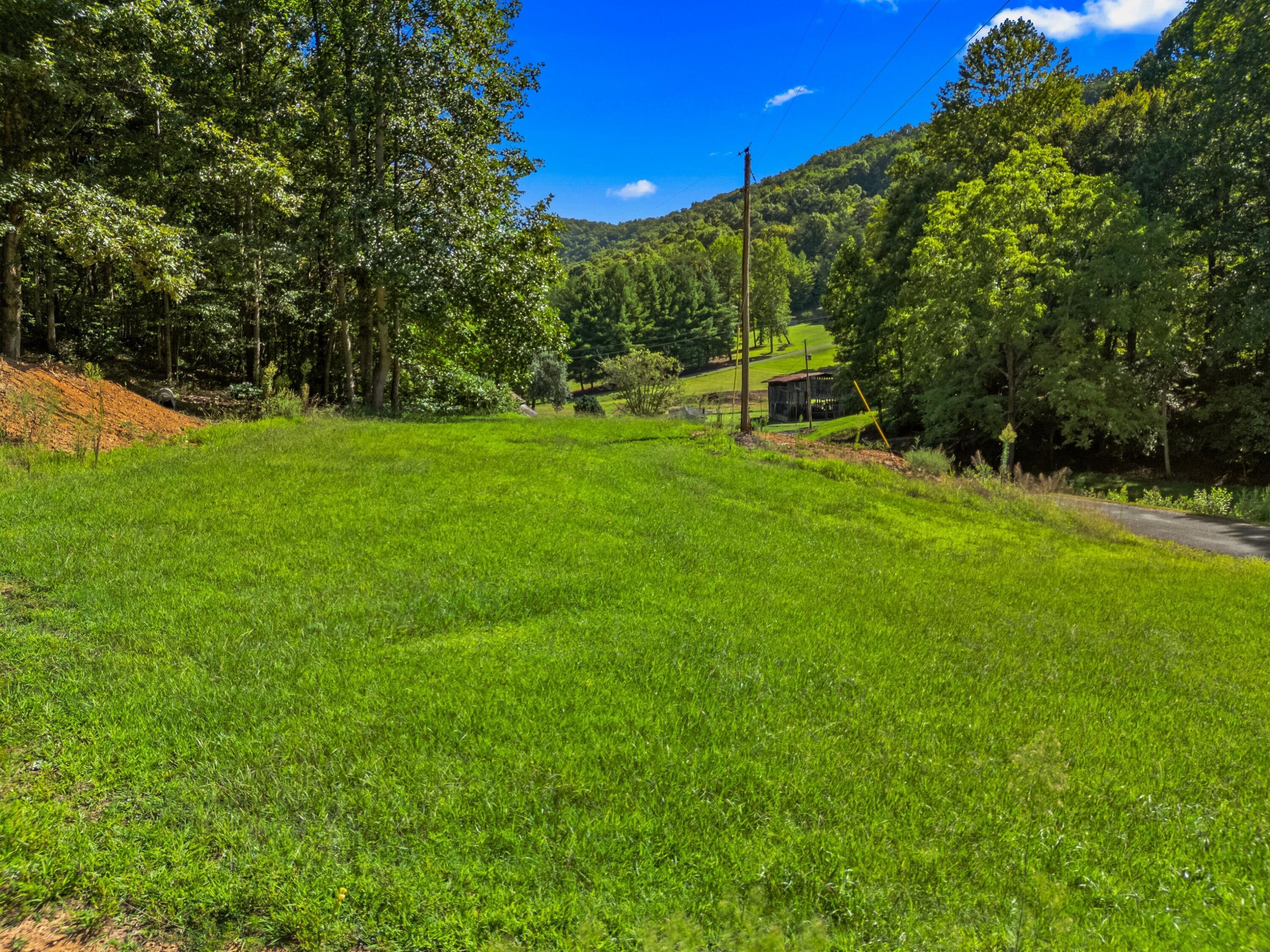 Image 4: 066-196HeckHollowRoad-Rogersville-TN-378