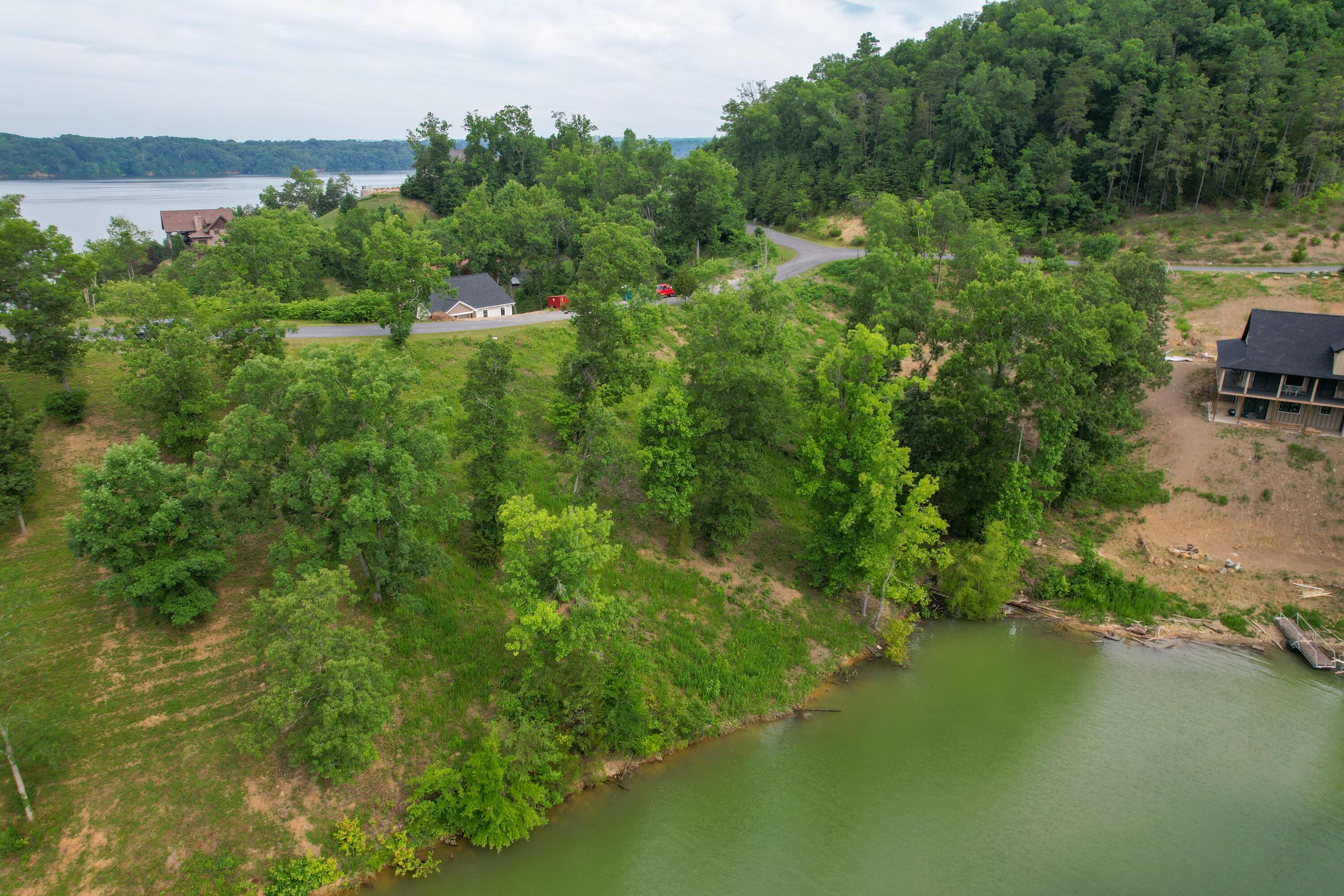 Image 3: dji_fly_20240619_100606_51_1718806370011