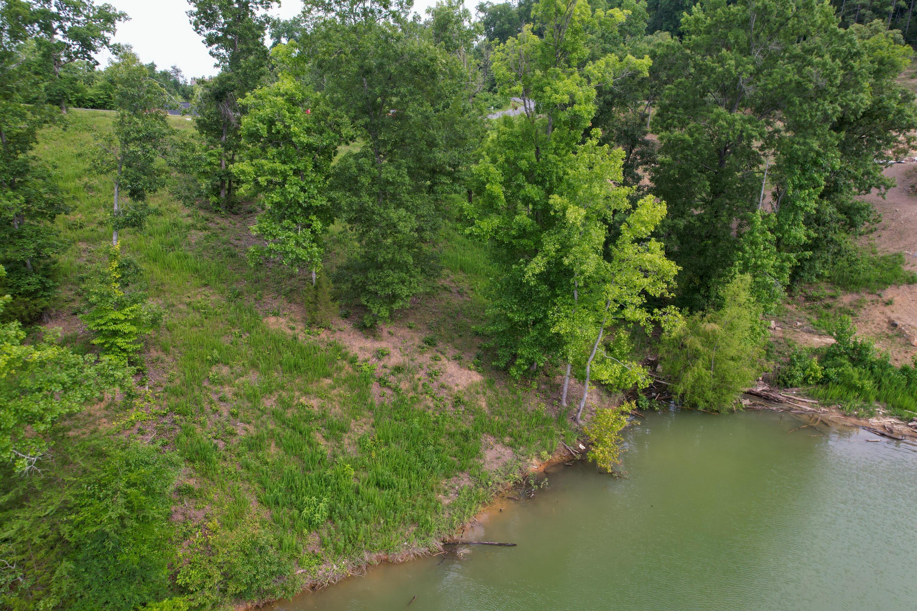Image 4: dji_fly_20240619_100556_50_1718806374442