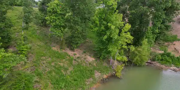 Image 4: dji_fly_20240619_100556_50_1718806374442