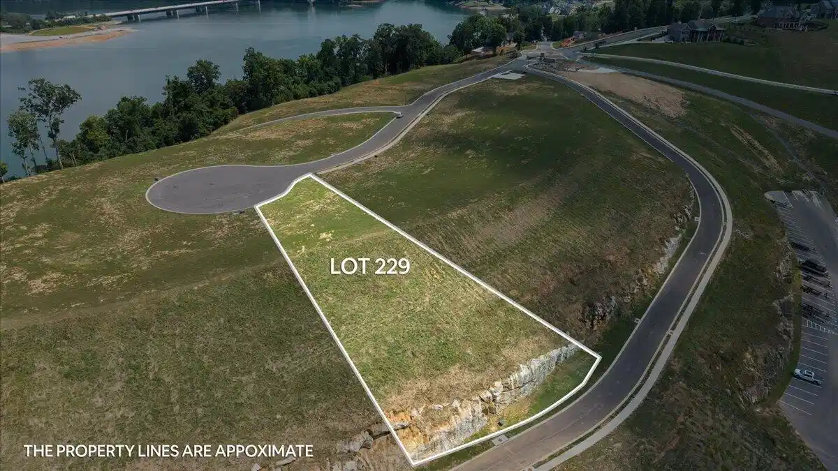 Image 1: 20-Lot 229 2