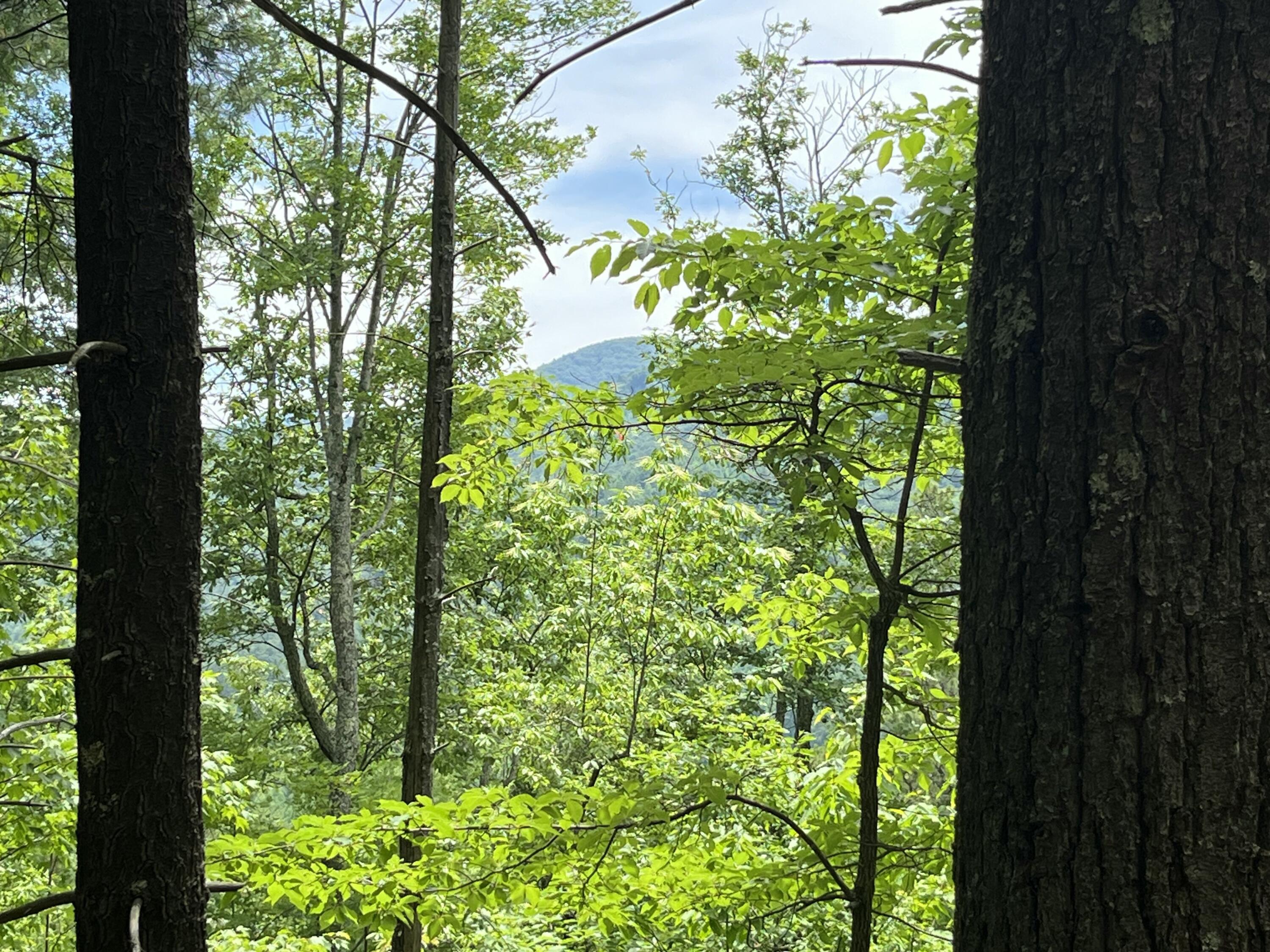 Image 1: Southern exposure