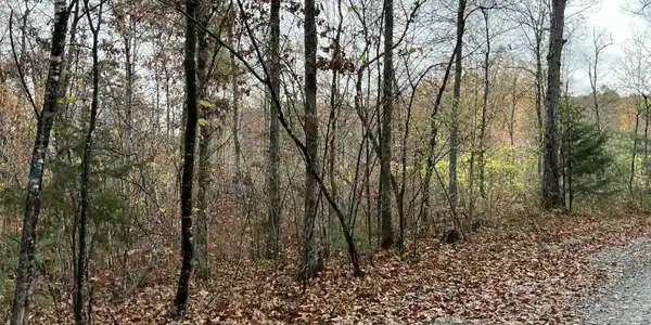 378-TrC Rocky Top Road