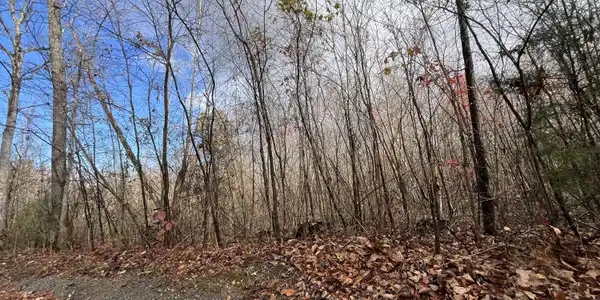 378-TrD Rocky Top Road