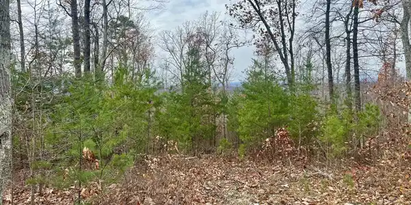 378-Tr E Rocky Top Road