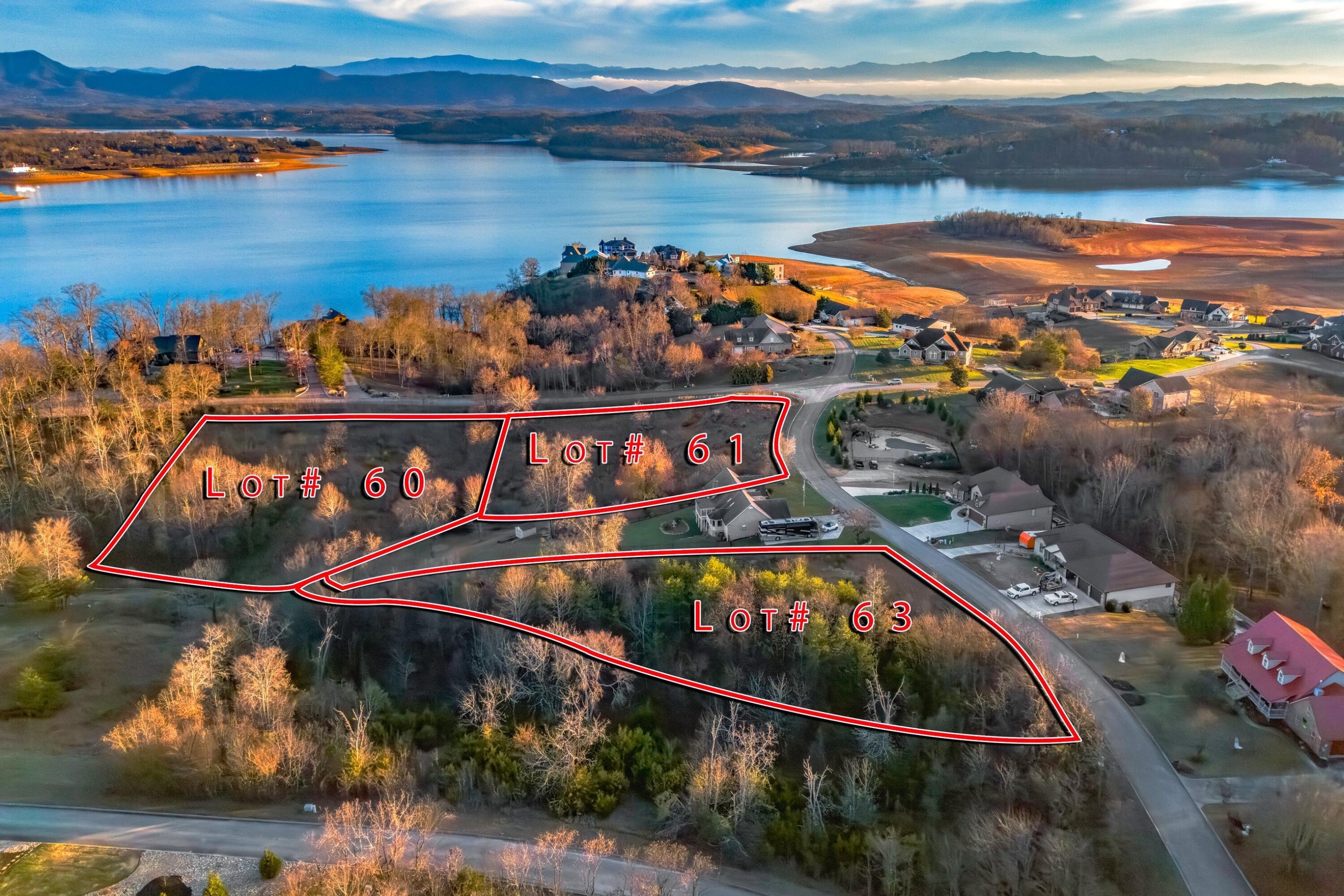 Image 3: 004-ScenicShores-Lots606163-Dandridge-TN