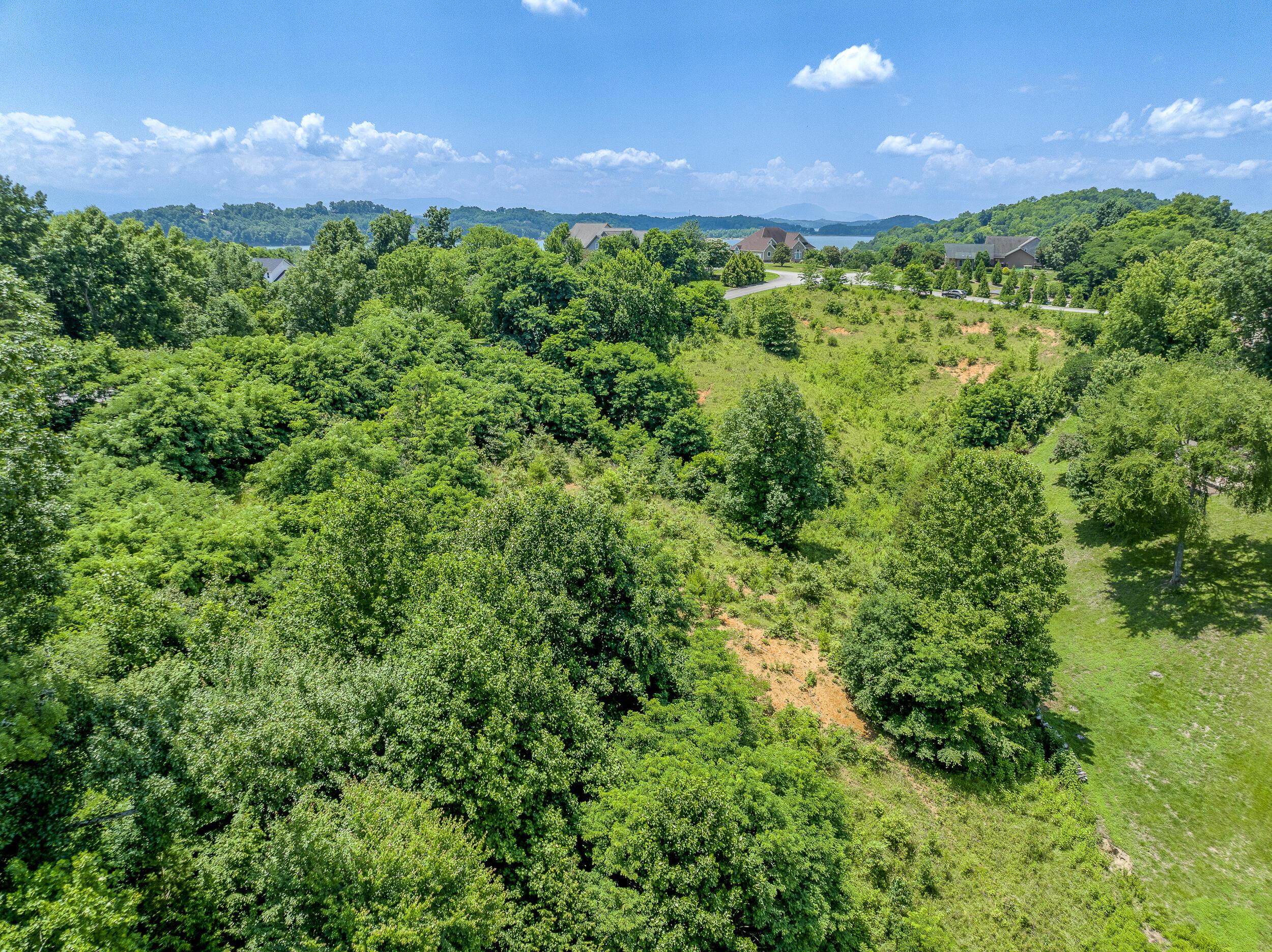 Image 3: DJI_0123-HDR