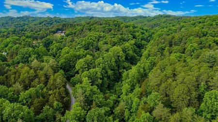Lot 44 Cedarwood Circle
