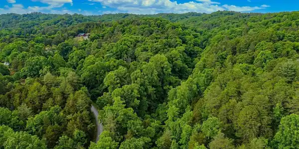 Lot 44 Cedarwood Circle