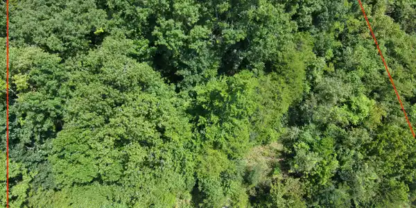 Image 3: Lot 62 Lower