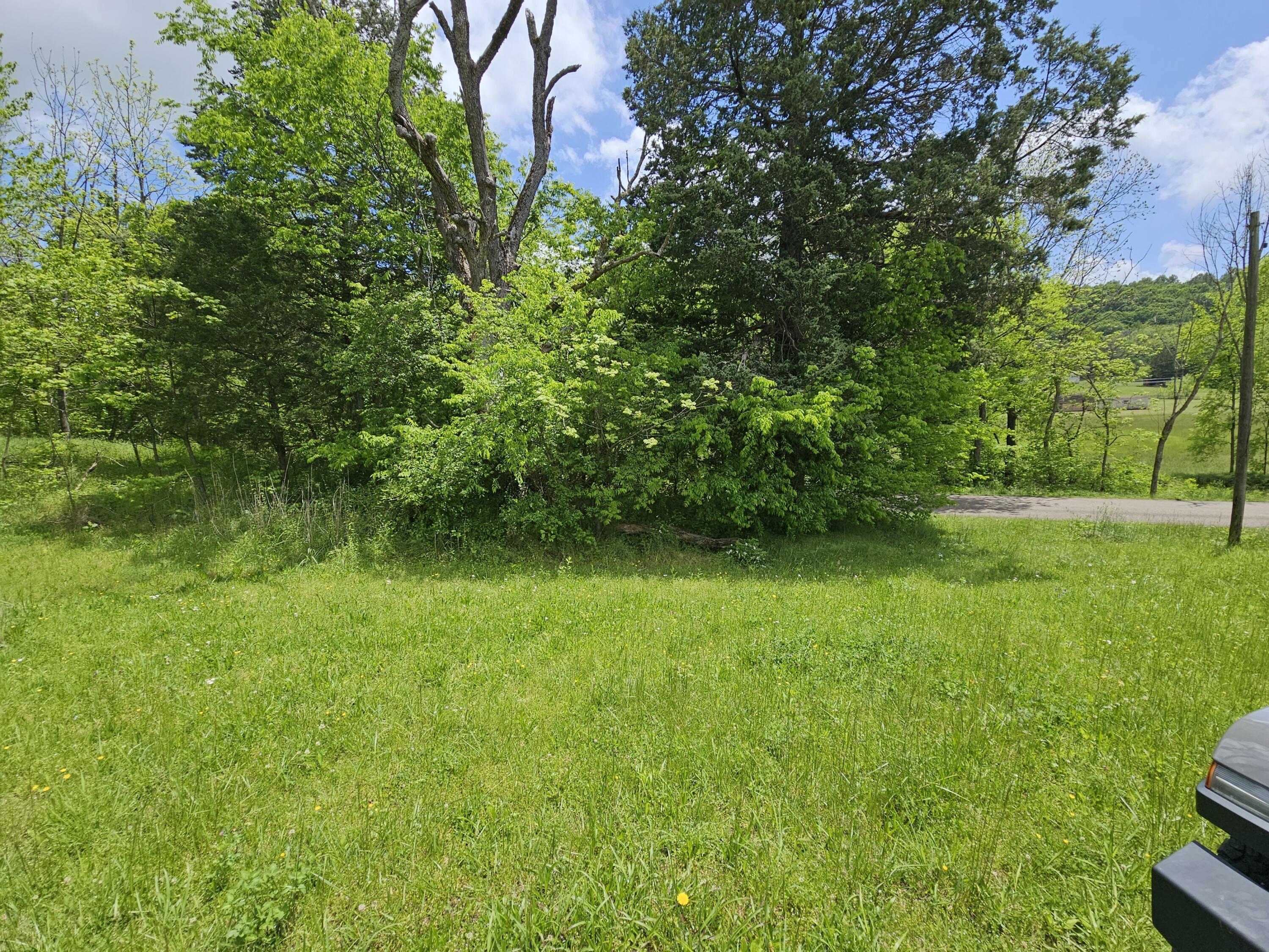 Image 2: 20250508_133130