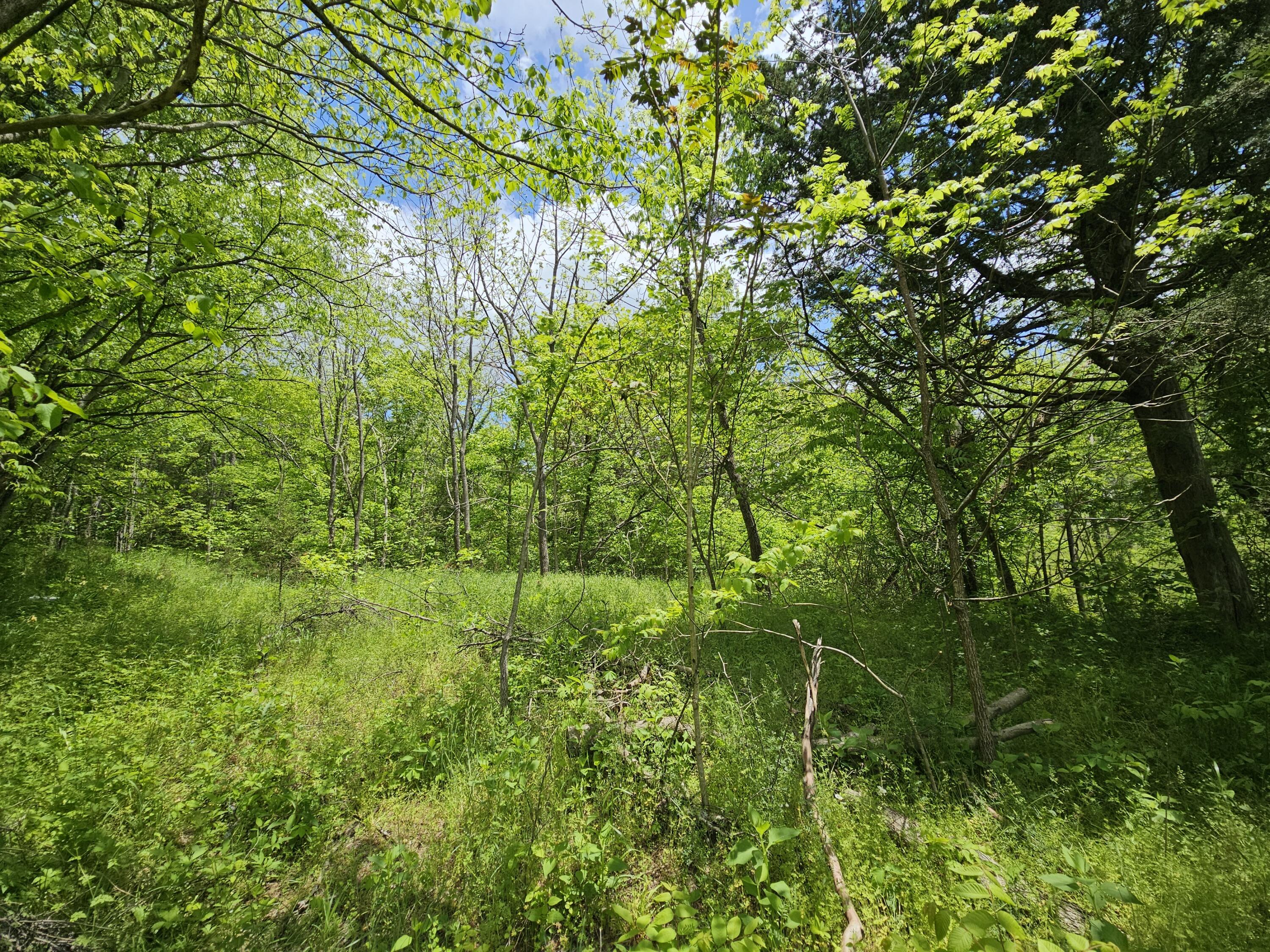 Image 3: 20250508_133206