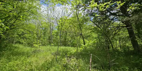 Image 3: 20250508_133206