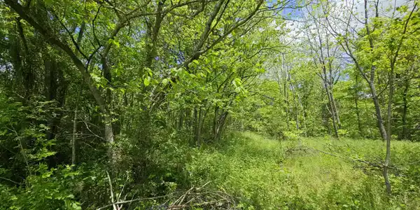 Image 4: 20250508_133209