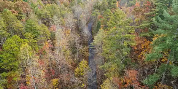 Image 4: 04-DJI_0011