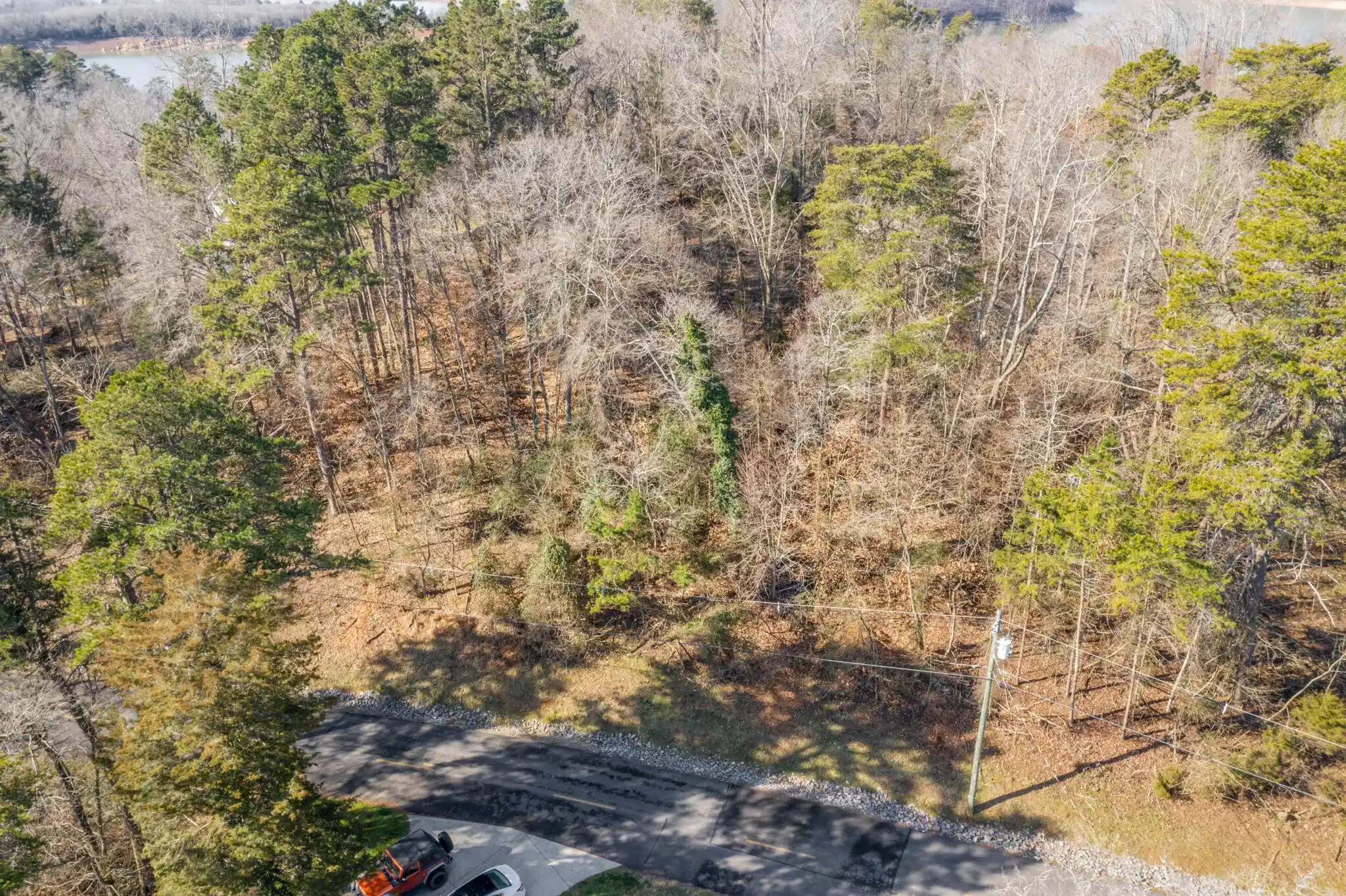 Image 1: 374 Chelaque Way - 1