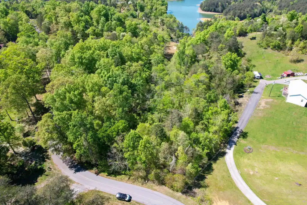Image 1: dji_fly_20240422_152448_8_1713814097462_