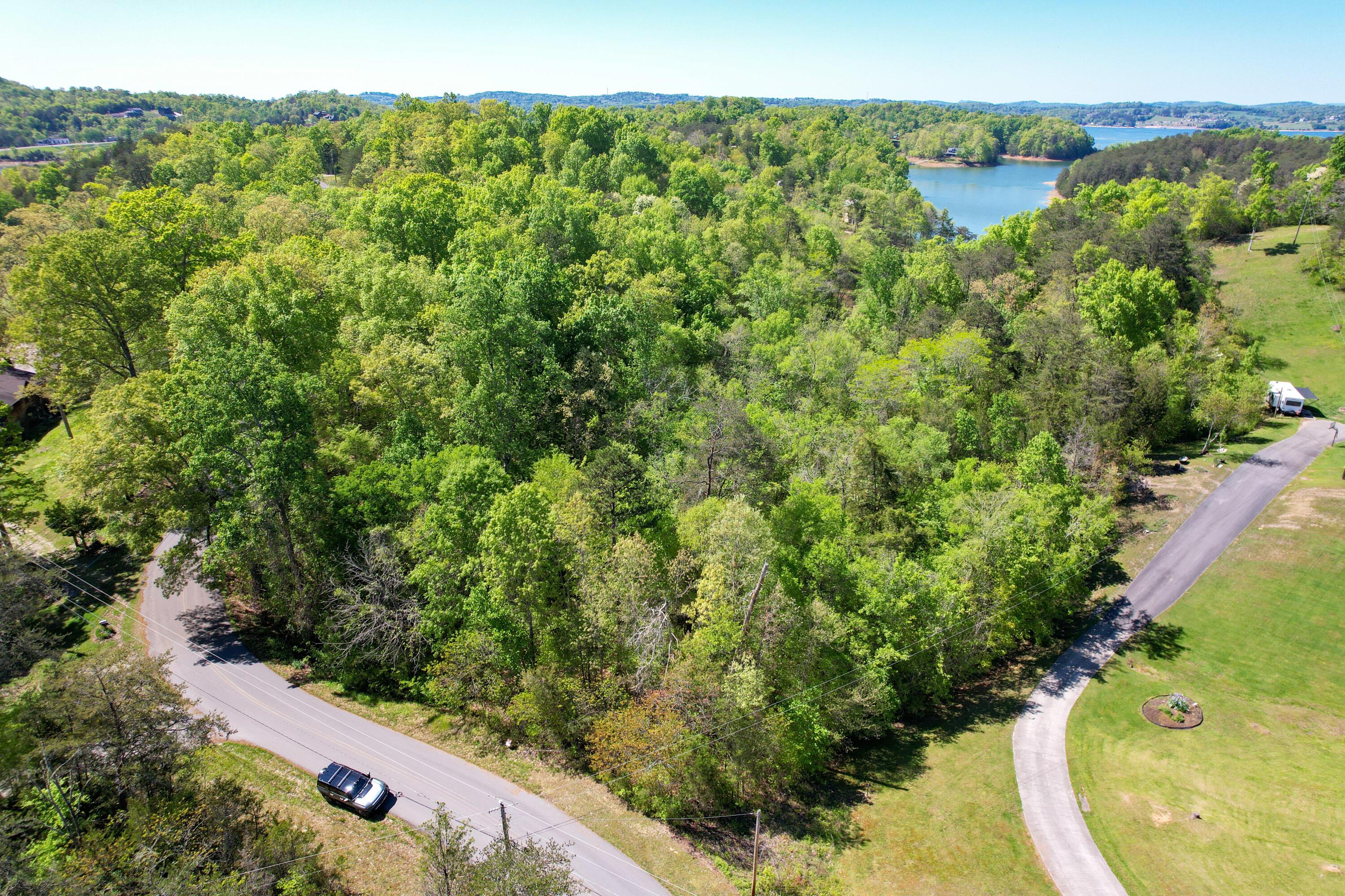 Image 2: dji_fly_20240422_152510_9_1713814094999_
