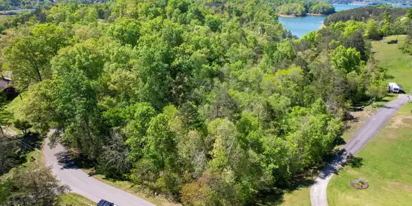 Image 2: dji_fly_20240422_152510_9_1713814094999_