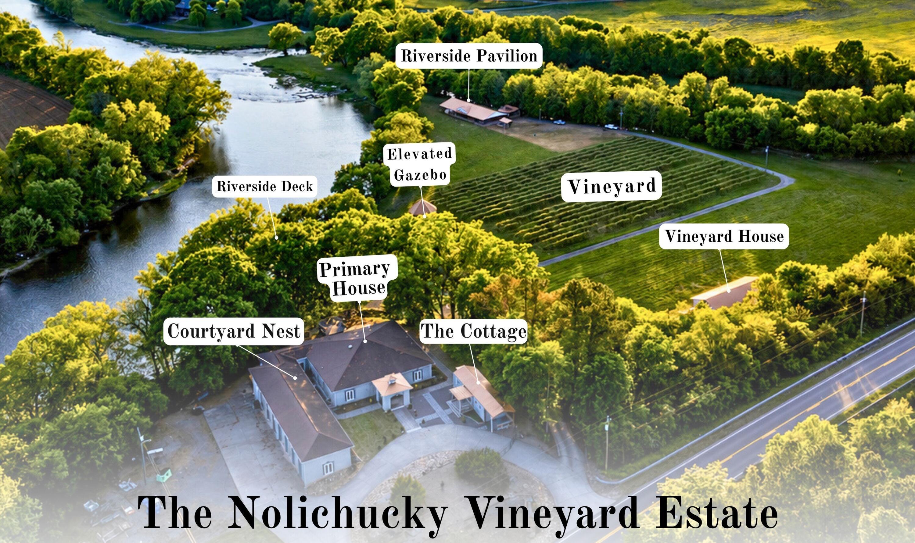 Image 2: Nolichucky Vineyard