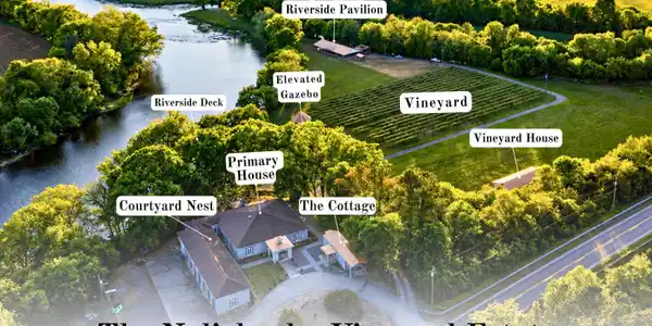 Image 2: Nolichucky Vineyard