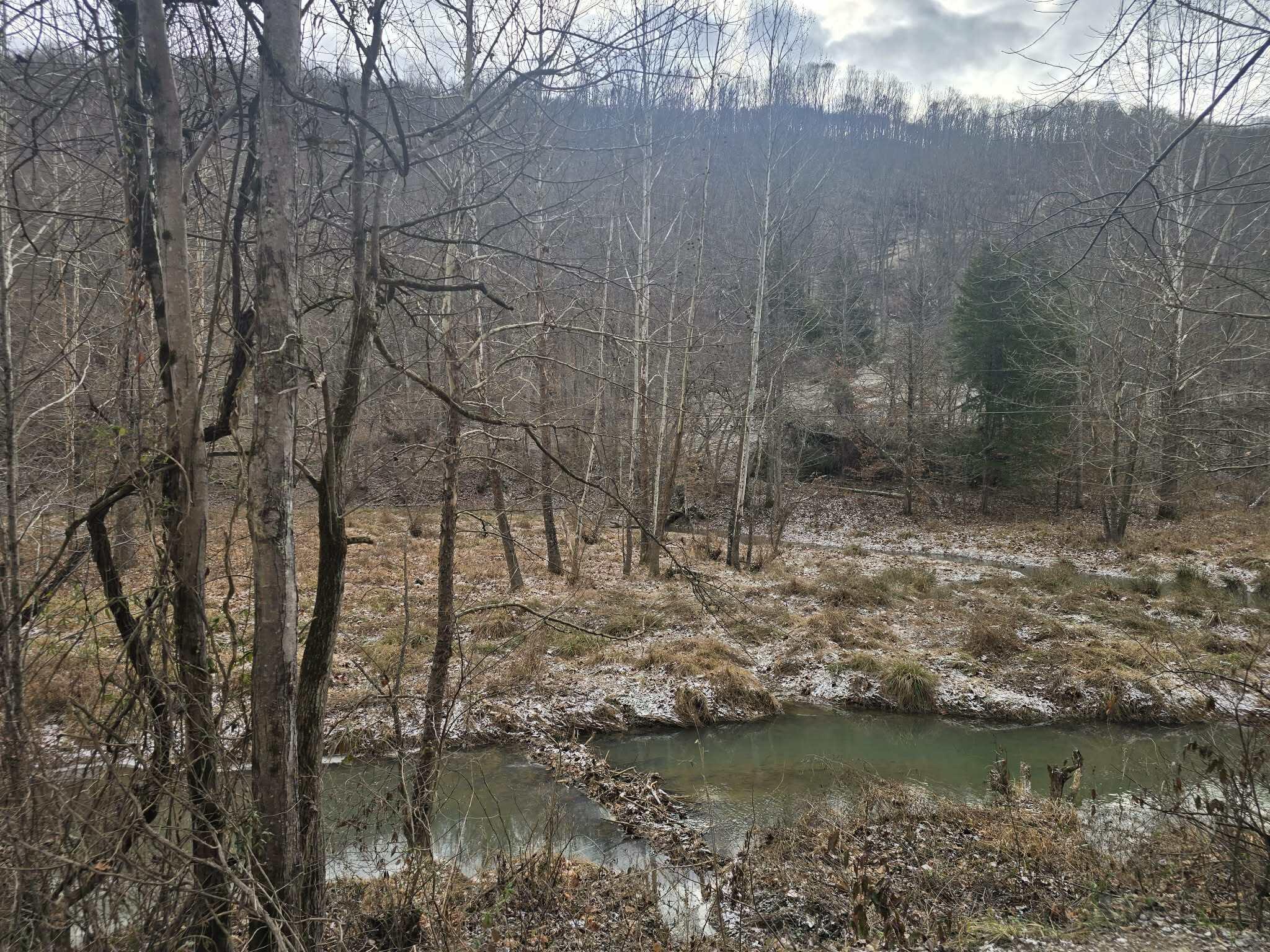 Image 3: 1ccaa756-3f72-4d0e-af8f-d338038bc1a1