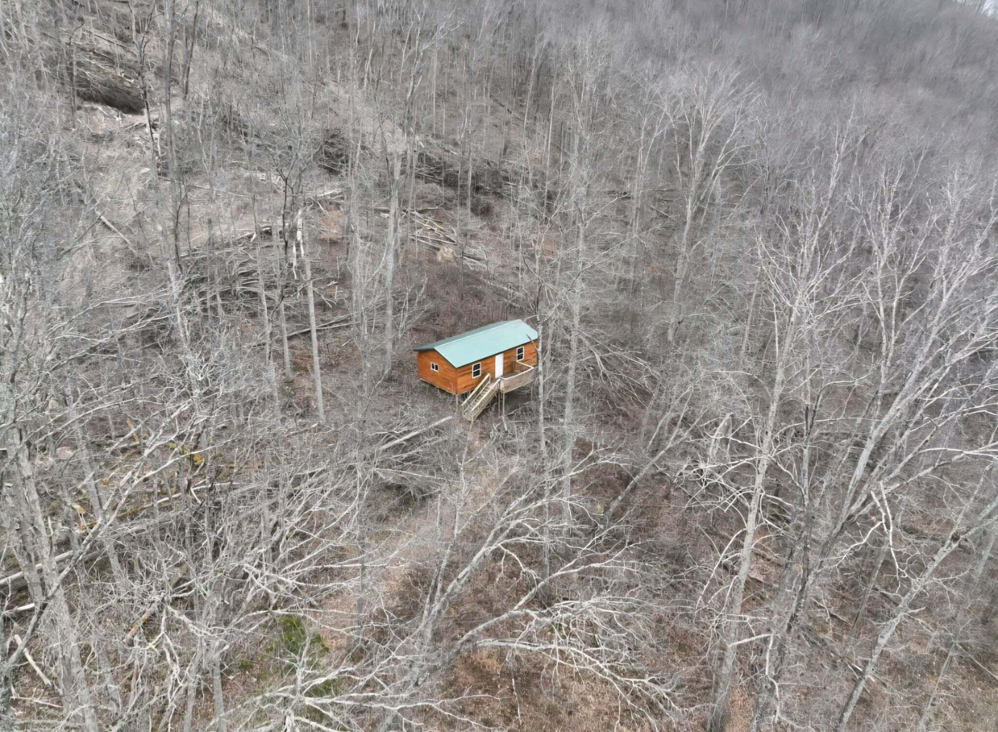 Image 4: b5e1c1f9-57b9-4cc8-9946-26b7b43ce8ac