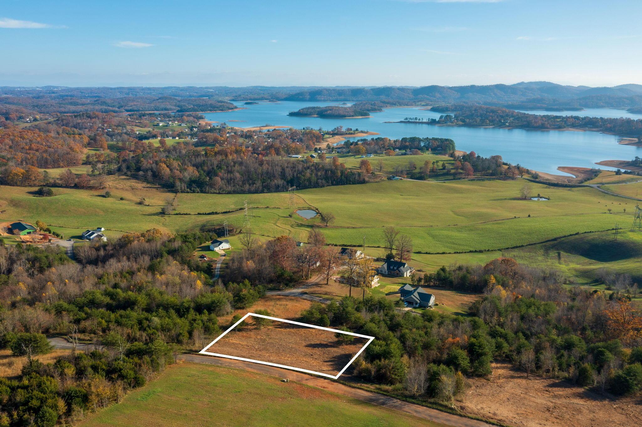 Image 2: Lot 39 Logans Bluff new pics 2