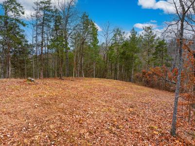 1556 Hollow Springs Rd