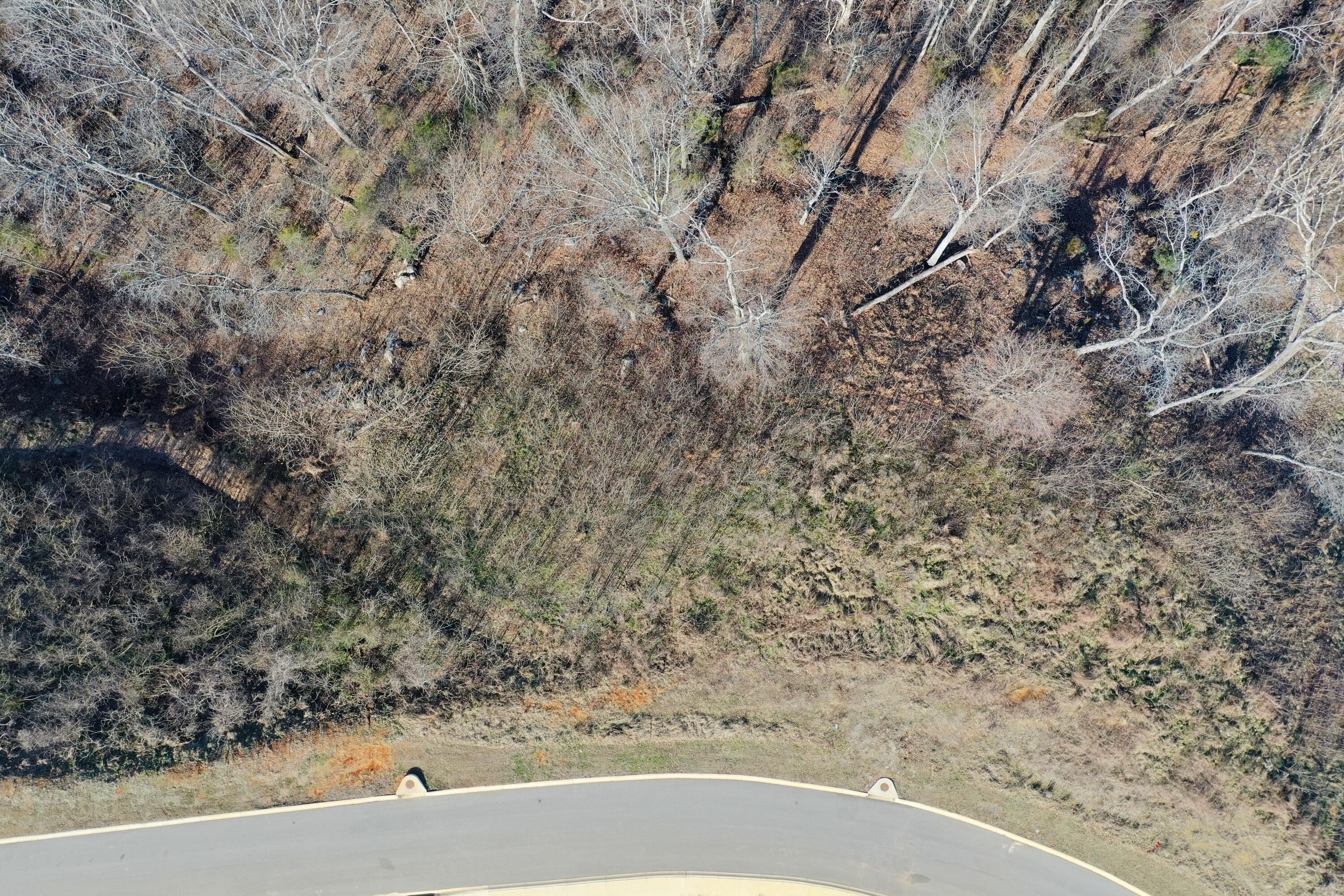 Image 4: DJI_0803