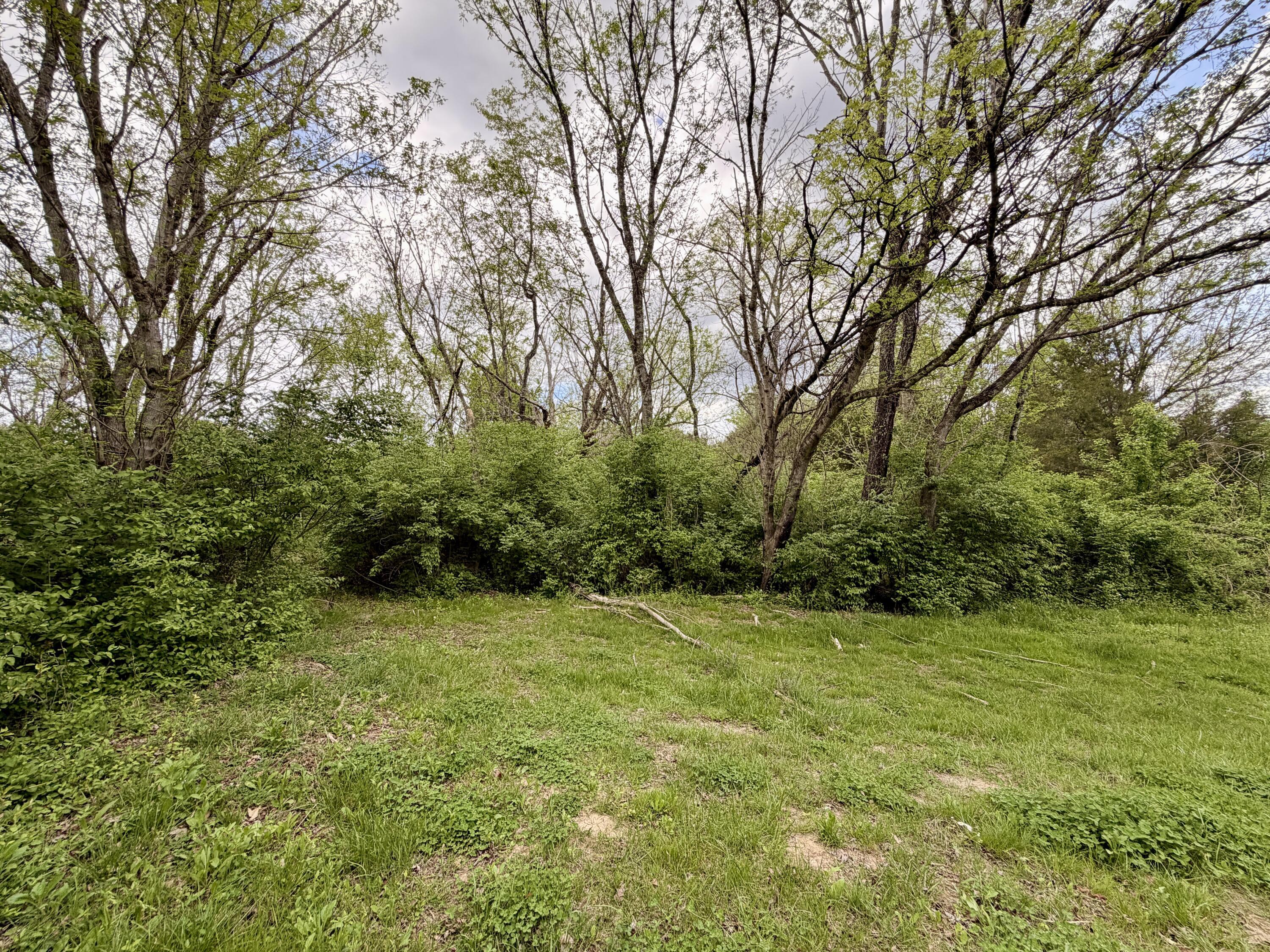 Image 4: Residential lot