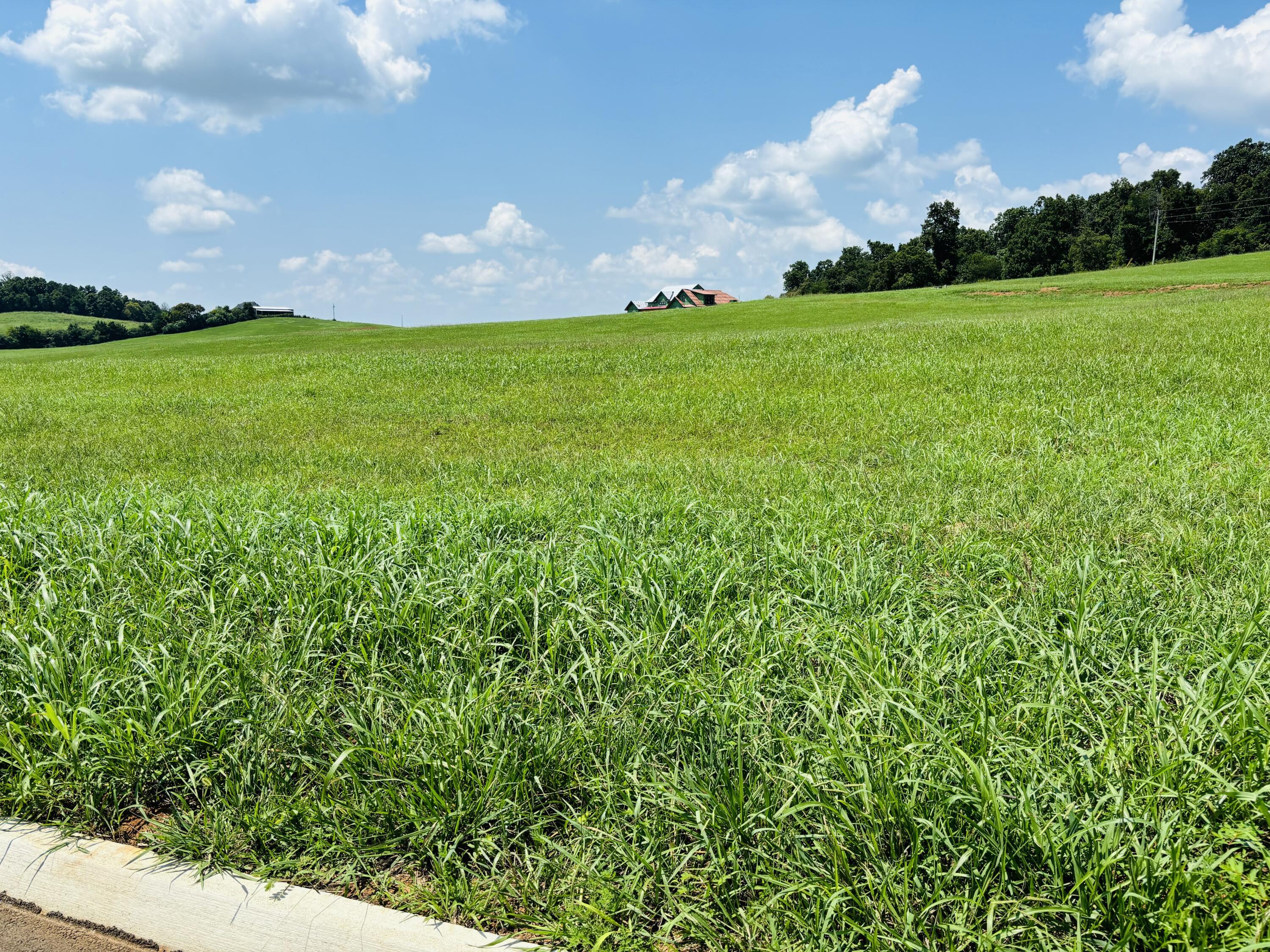 Image 3: IMG_7485