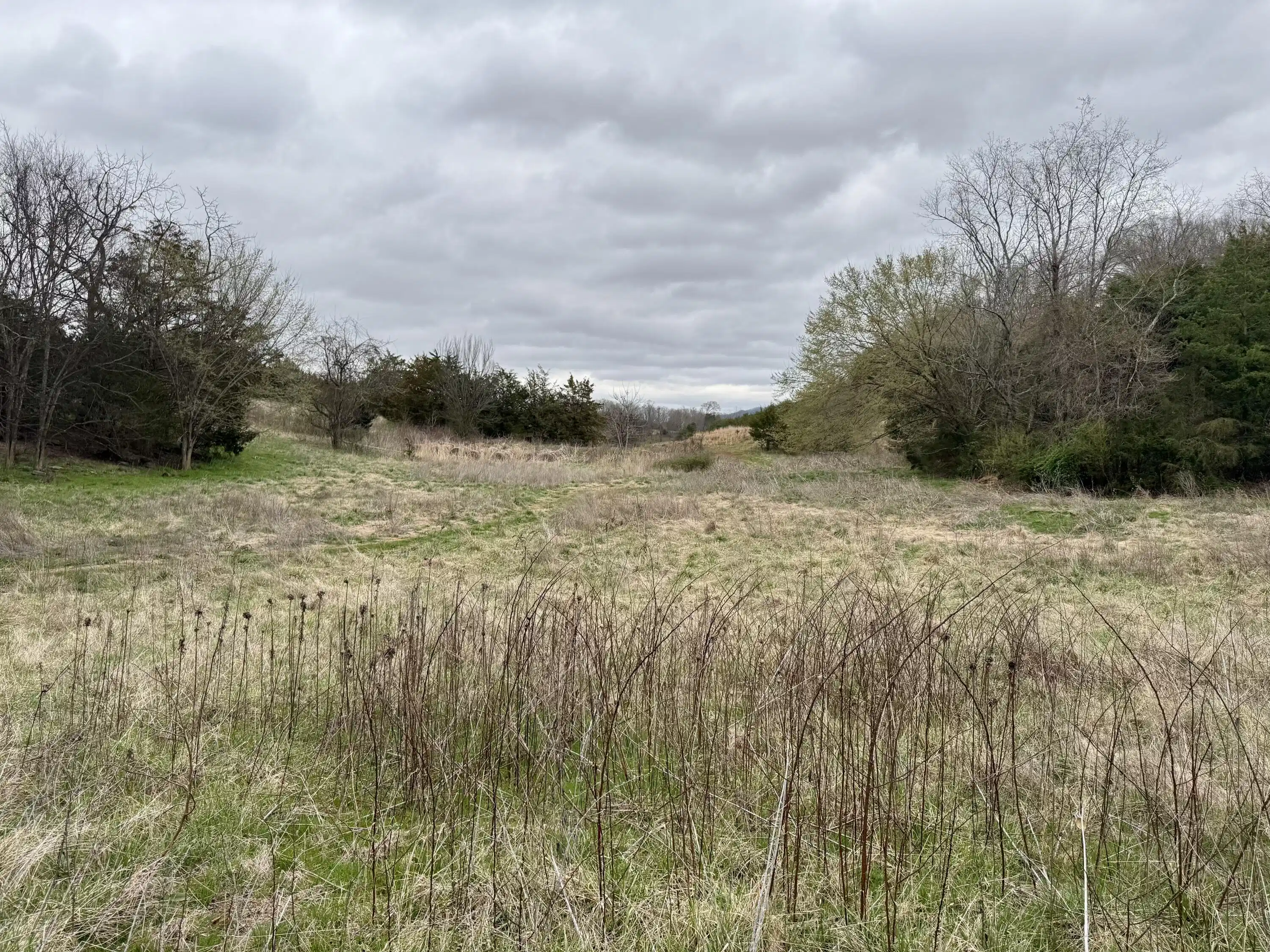 Image 1: Farm