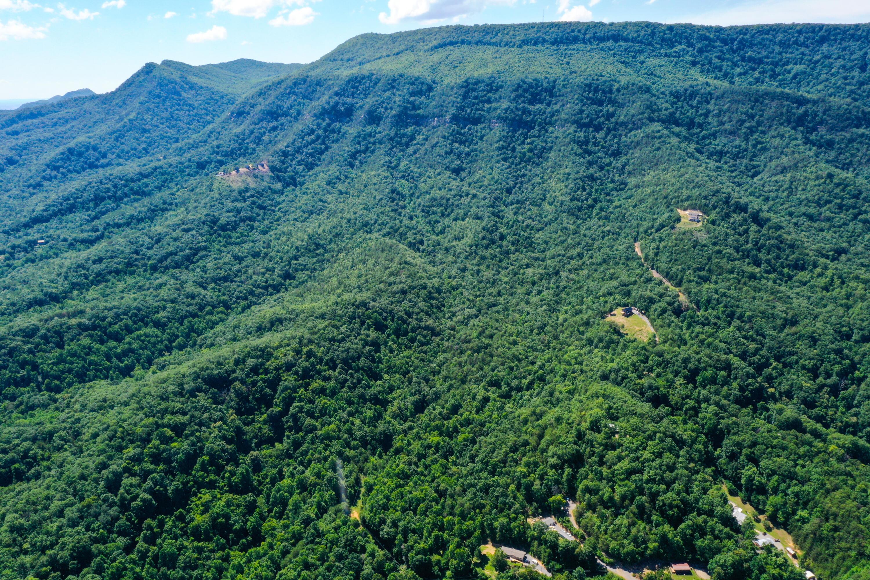 Image 4: DJI_0725