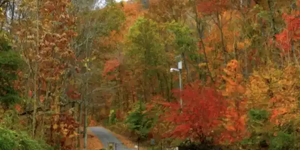 Hickory Knoll Circle