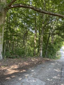 1148 George Byrd Road