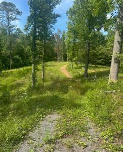 0000 Long Branch Road