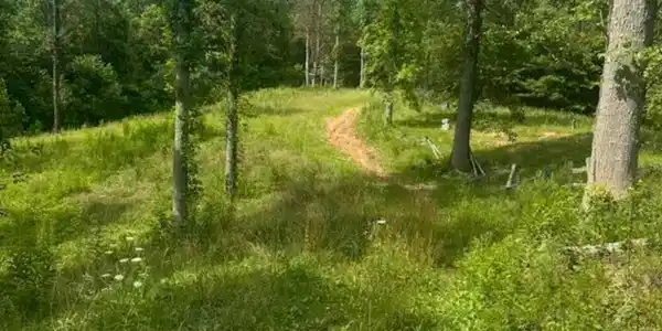 0000 Long Branch Road