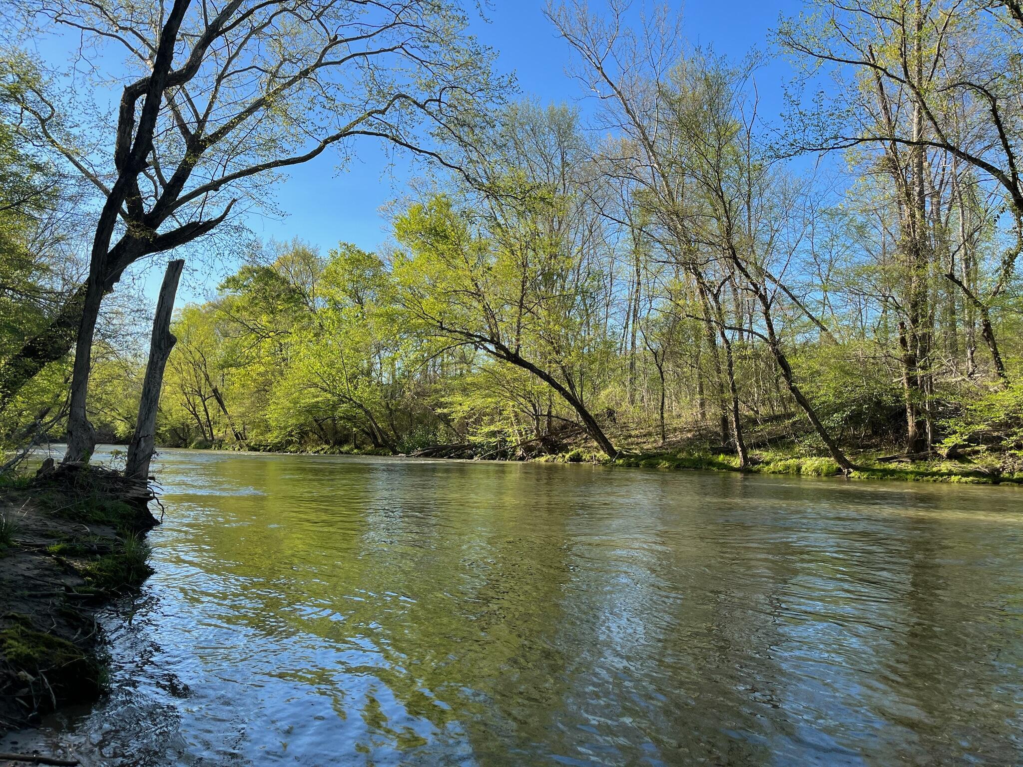 Image 3: River bound