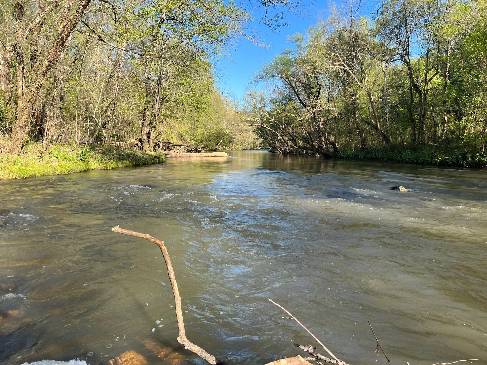 Image 4: River crossing