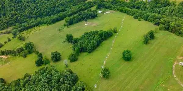 Image 3: DJI_20240710100939_0625_D.jpg-SMALL