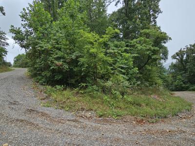 Lot 10 Ridge Walk Rd