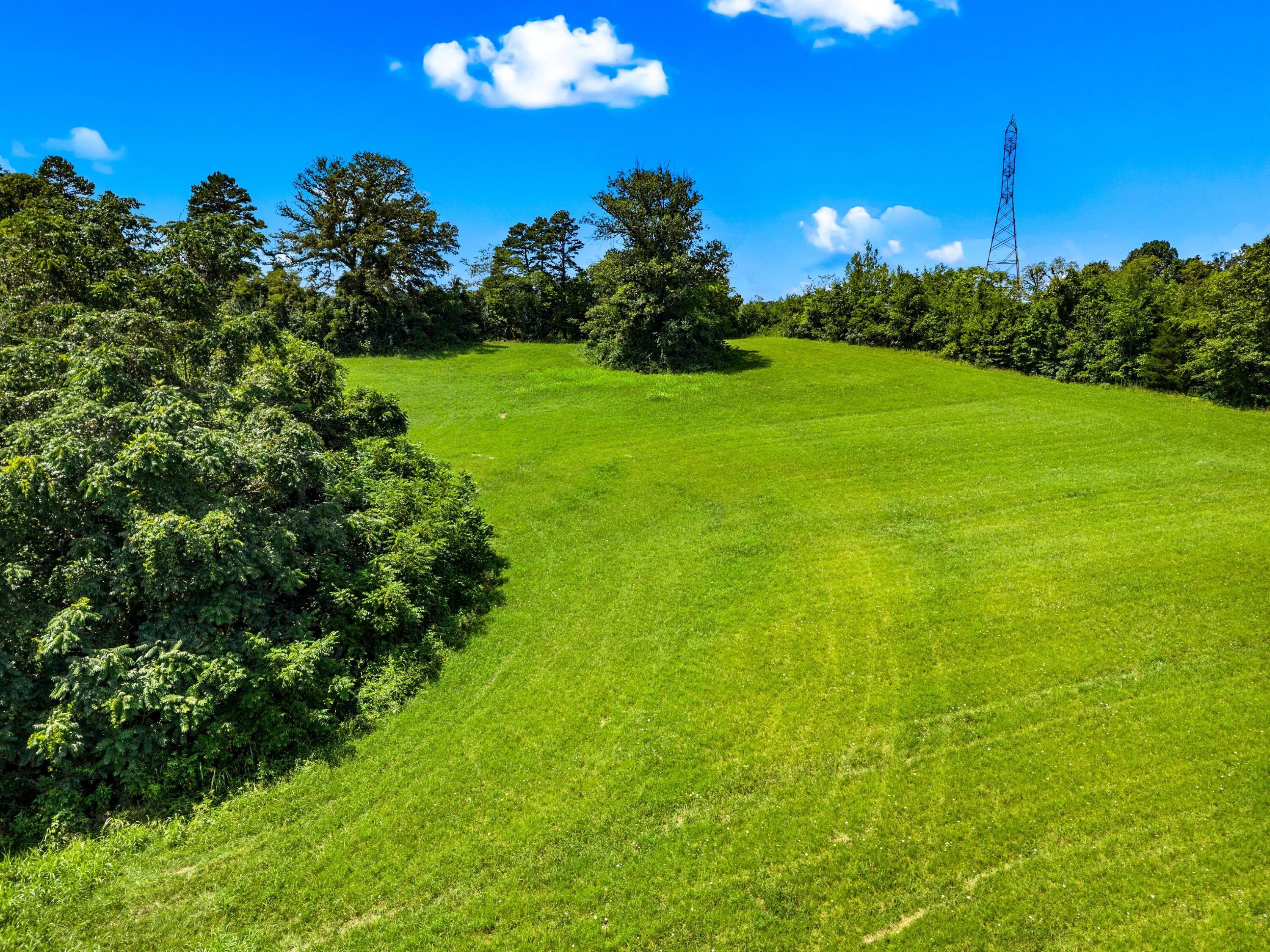 Image 4: 010-6899BeaconLightRoad-Whitesburg-TN-37