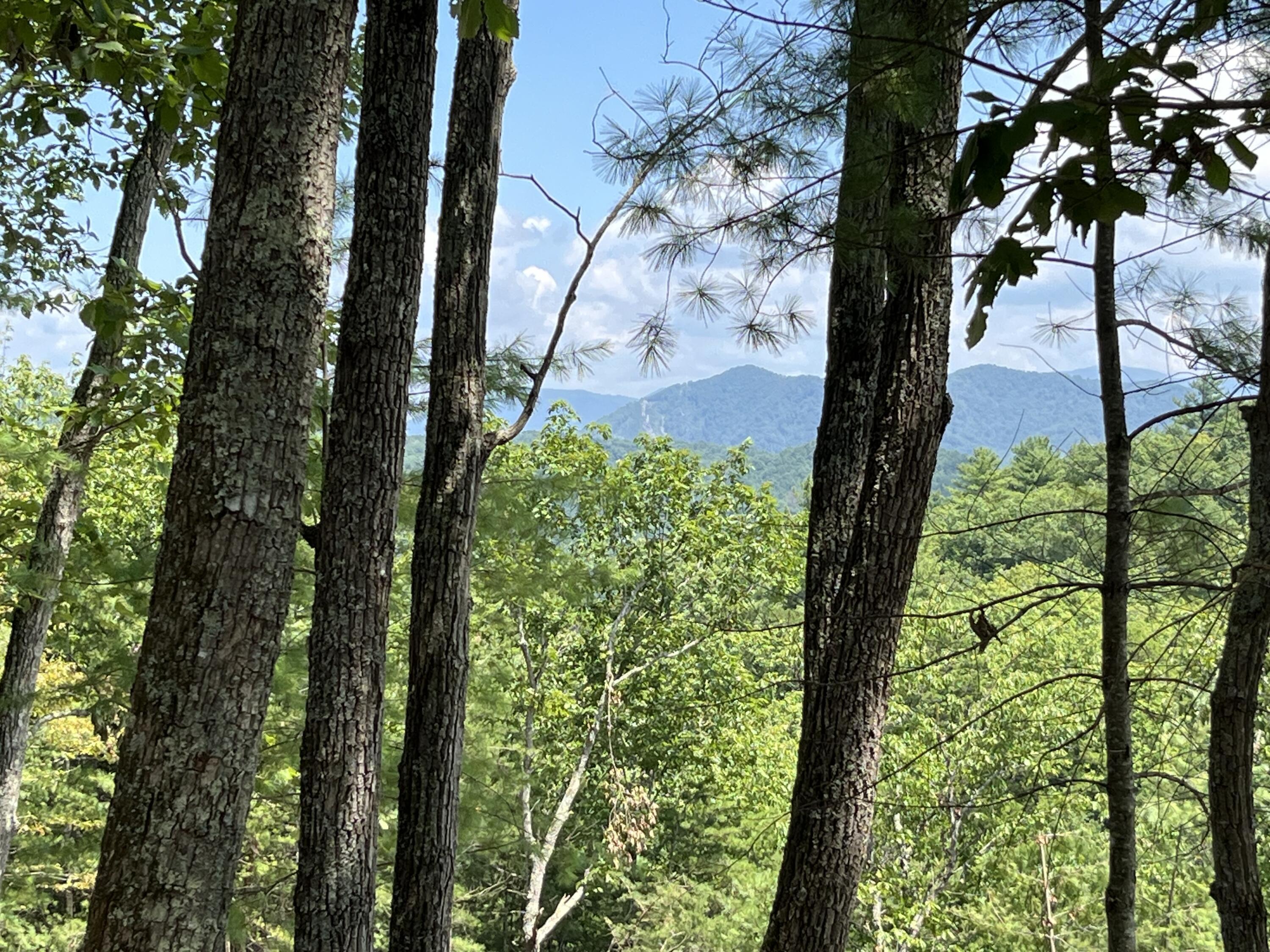 Image 2: Mountaintop views