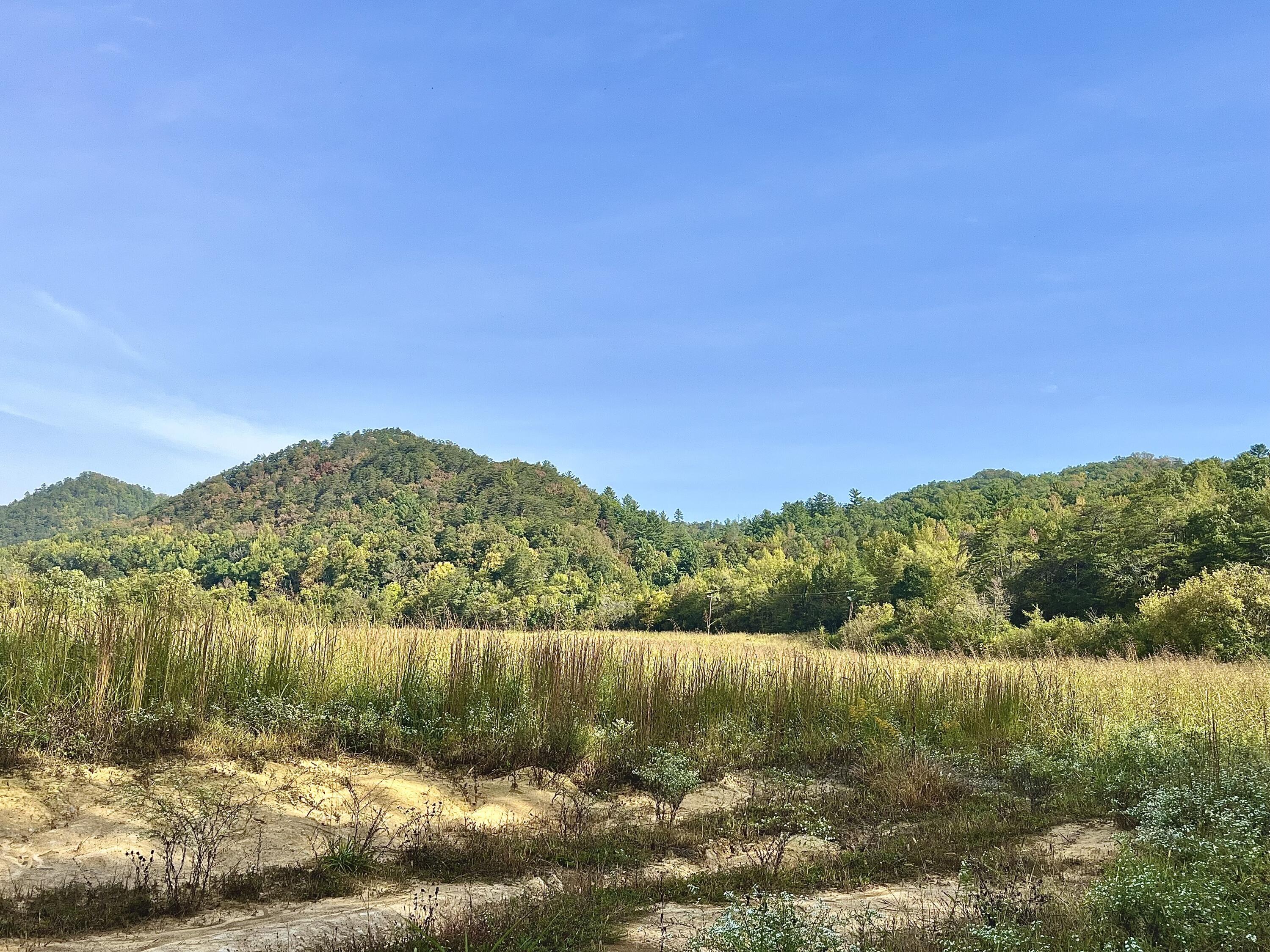 Image 3: Southern exposure