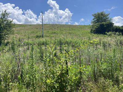 378-E Rocky Top Road