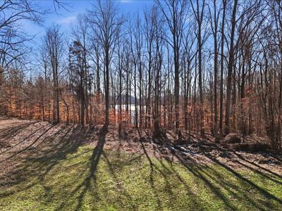 141 Red Cloud Lane