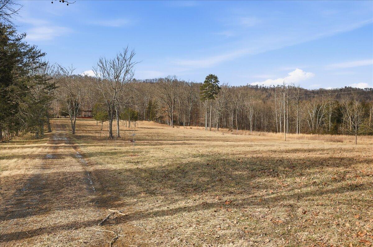 Image 2: 02-5335 Gap Creek Rd-2