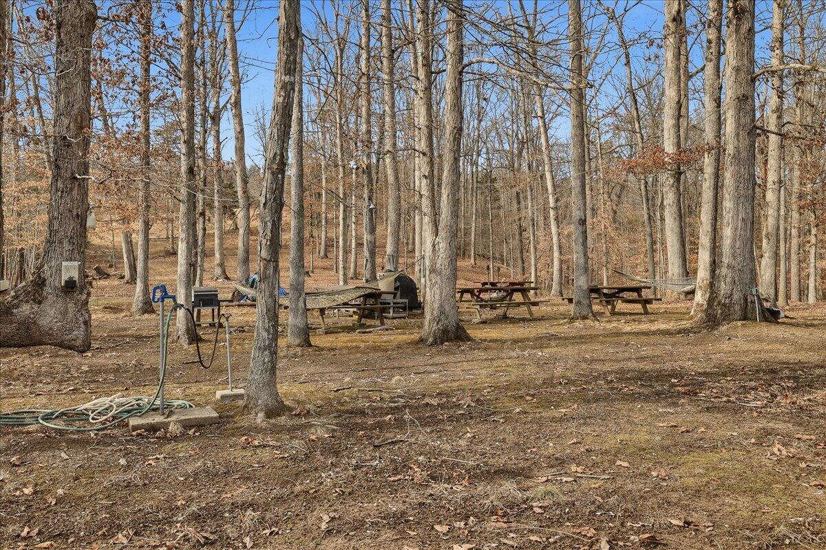 Image 3: 03-5335 Gap Creek Rd-3